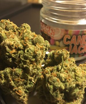 candy jack weed